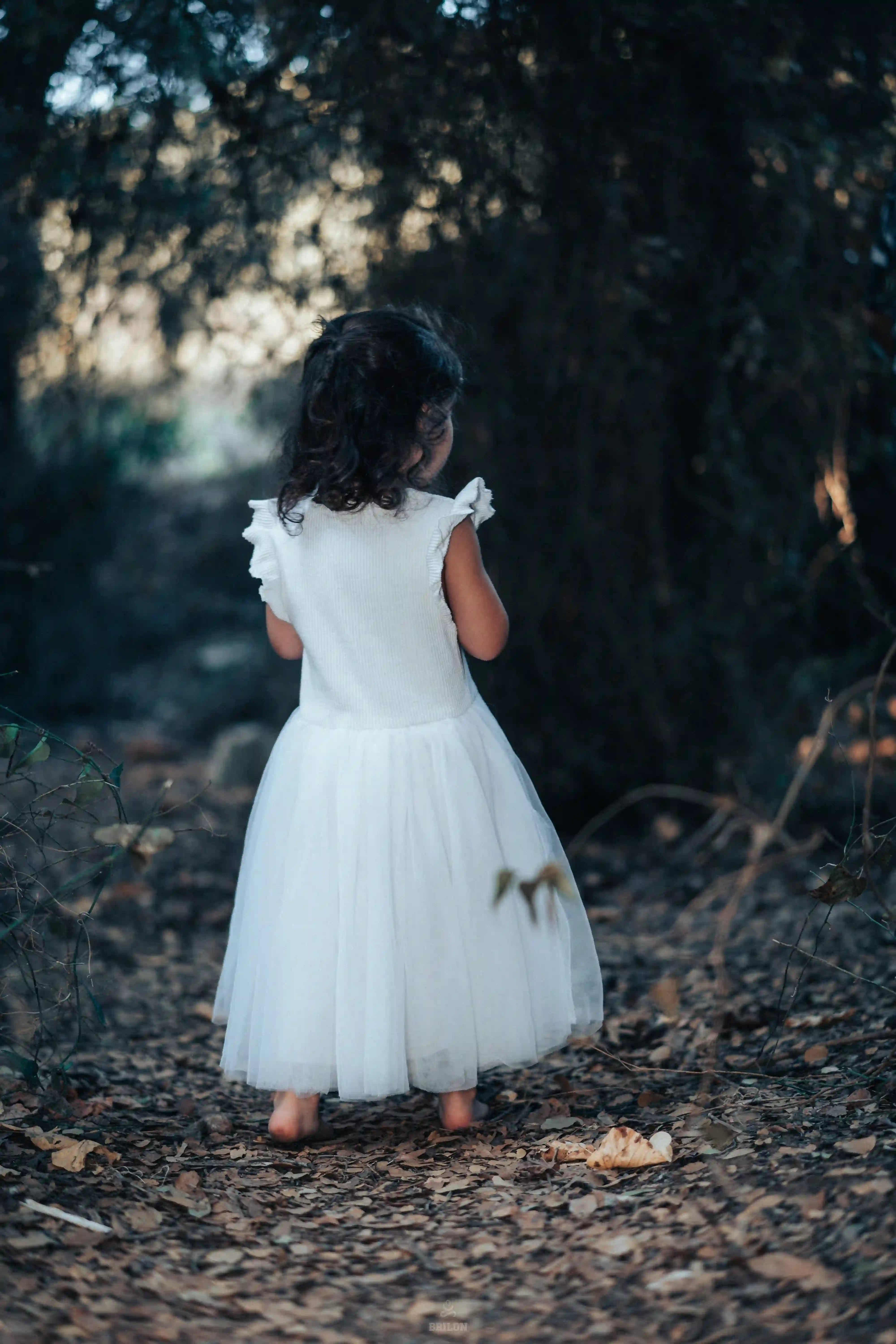Little Moments — image 3